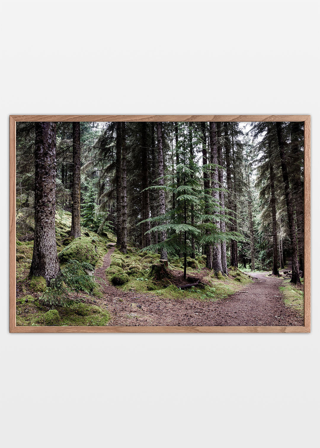 Skov plakat