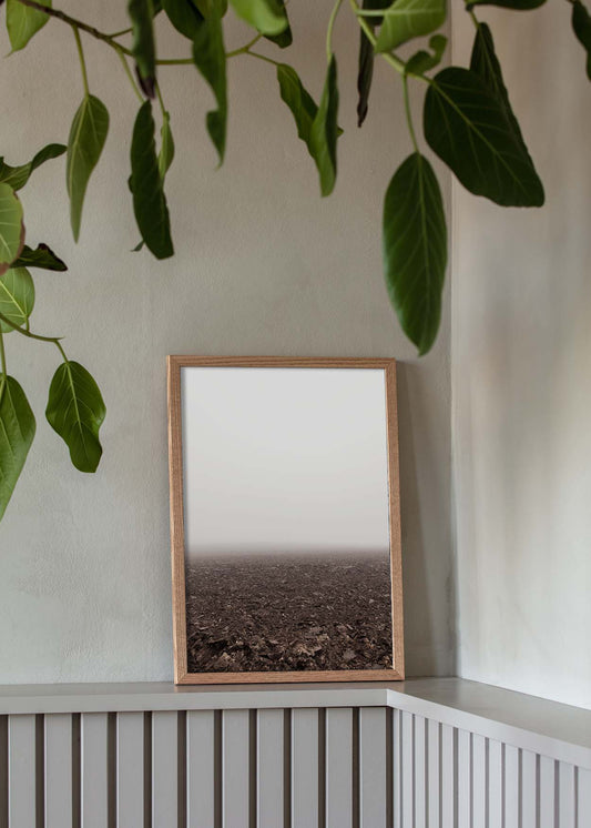 Jysk muld plakat natur