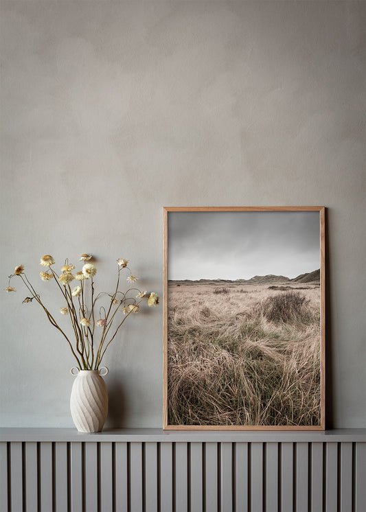 Indret med Skagen plakat