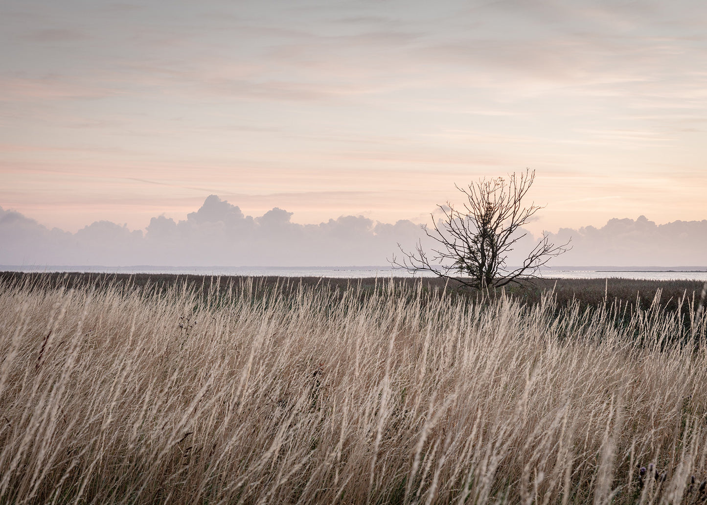 Fotografi fra øen Orø ved solopgang – smukke øer i Danmark