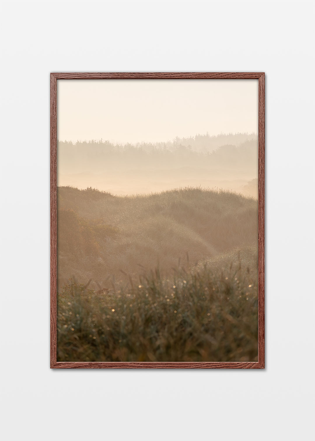 Blokhus dune plantation poster