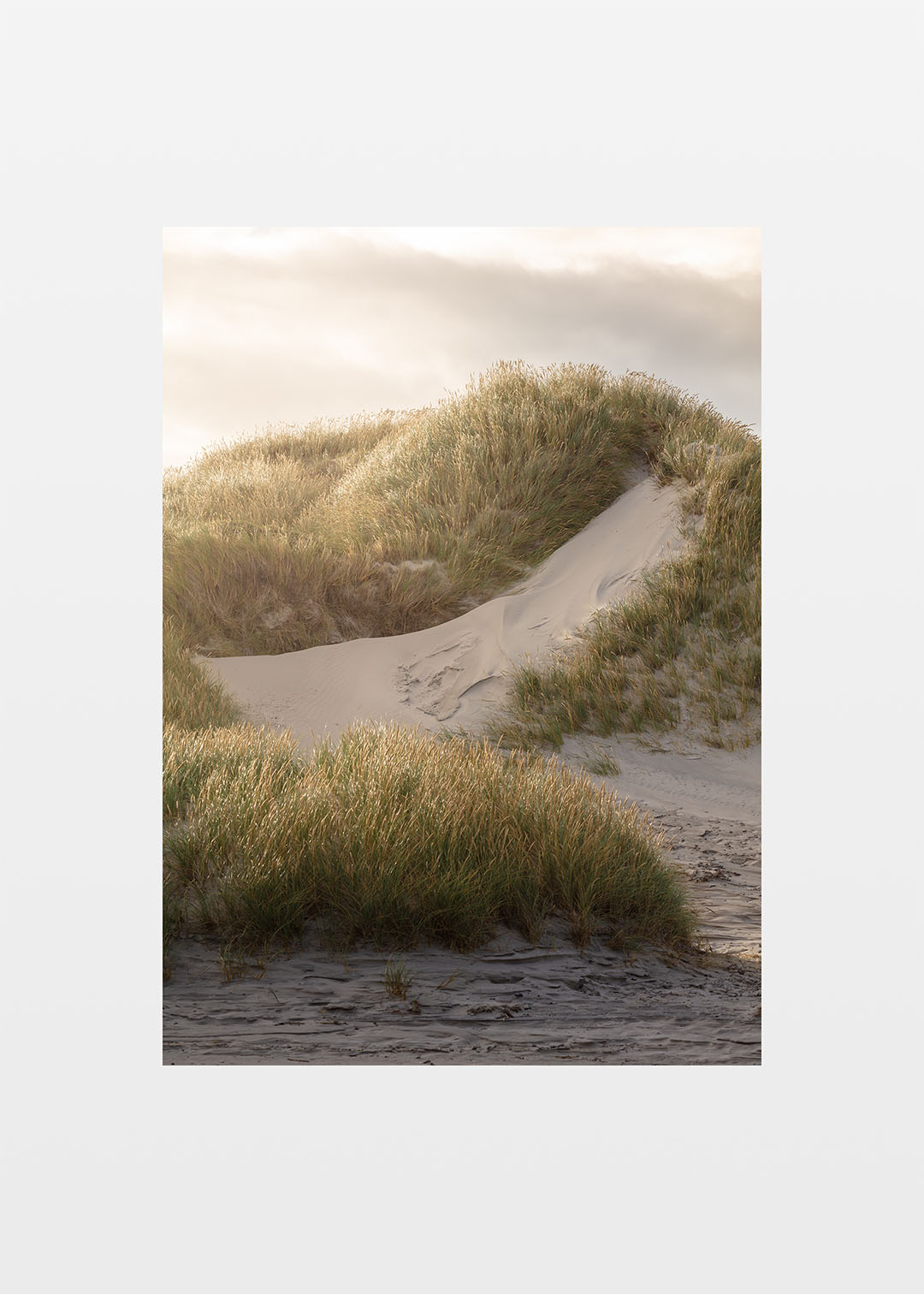 Foto af Danmarks vestkyst