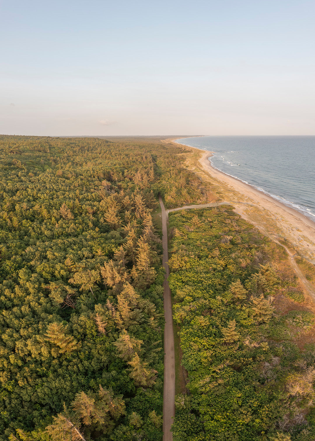 Tisvilde kyst og skov plakat