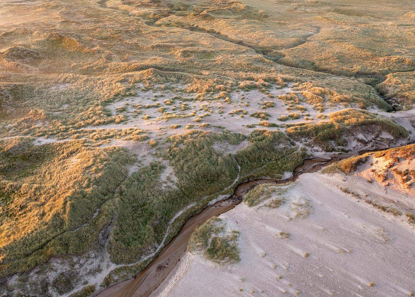 Thy plakat – Klitter ved Klitmøller i morgenlys