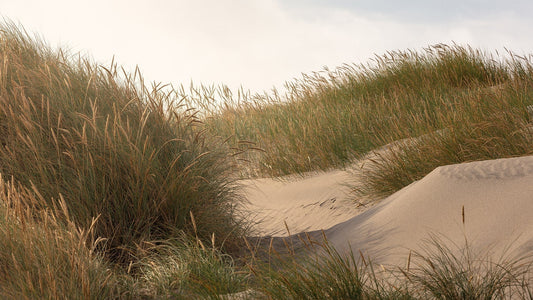 Smukt landskabsbillede fra Danmark