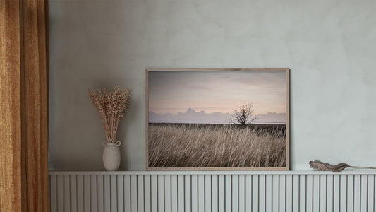 Billeder til Væggen