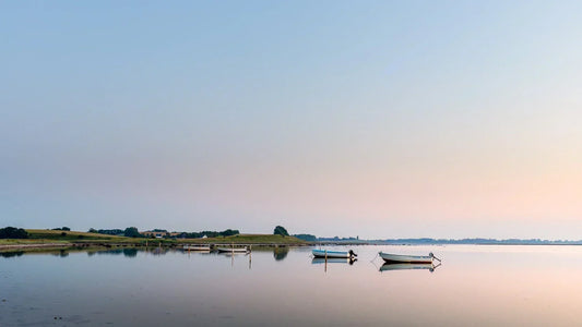 Guide: Naturbilleder og landskabsbilleder fra Danmark