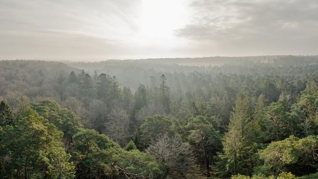 Naturfotografering i Danmark