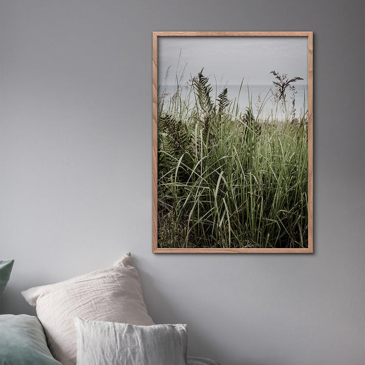 Plakater fra Nordjylland | Foto Factory