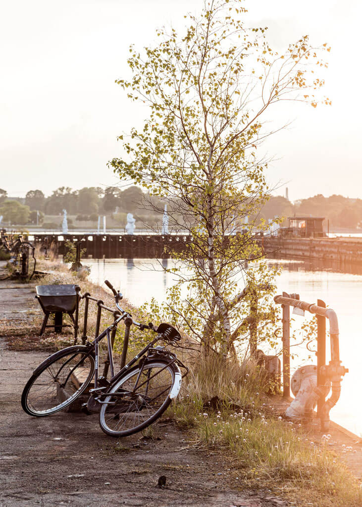Plakat Cyklen