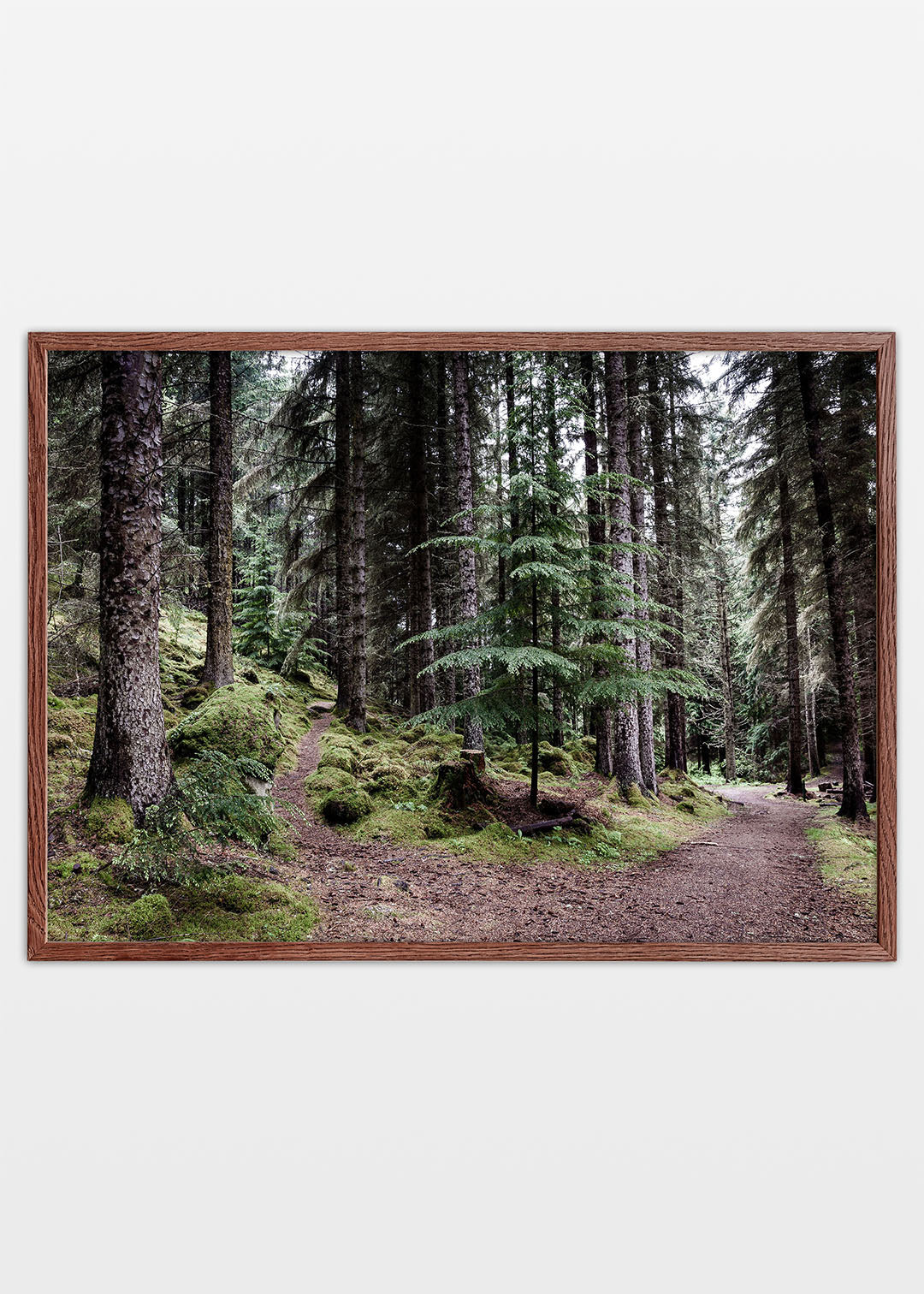 Skov plakat