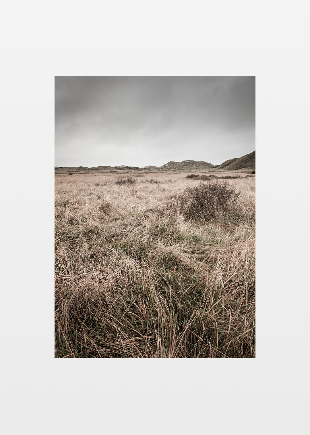 Skagen plakat