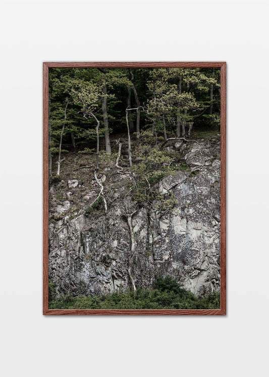 Ekkodalen plakat