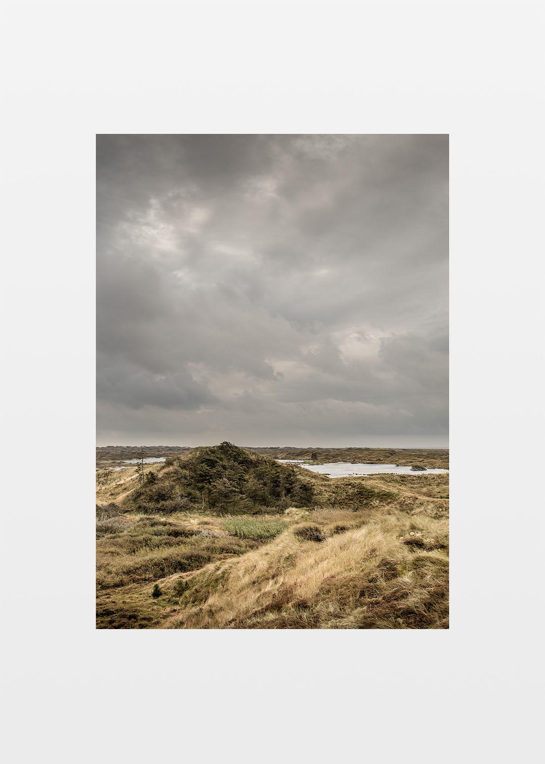 Fanø plakat