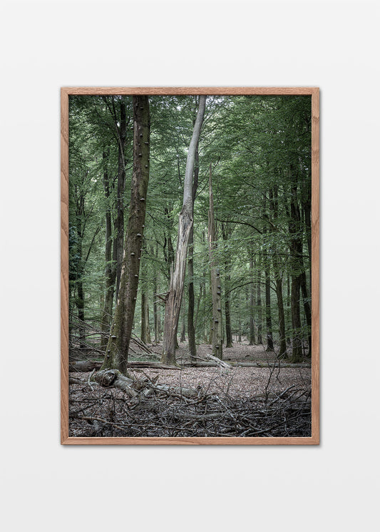 Vesterskoven plakat Silkeborg