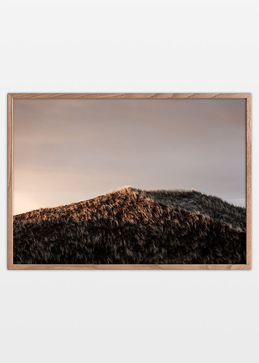 Vandret Sandklit plakat - Nationalpark Thy Solnedgang