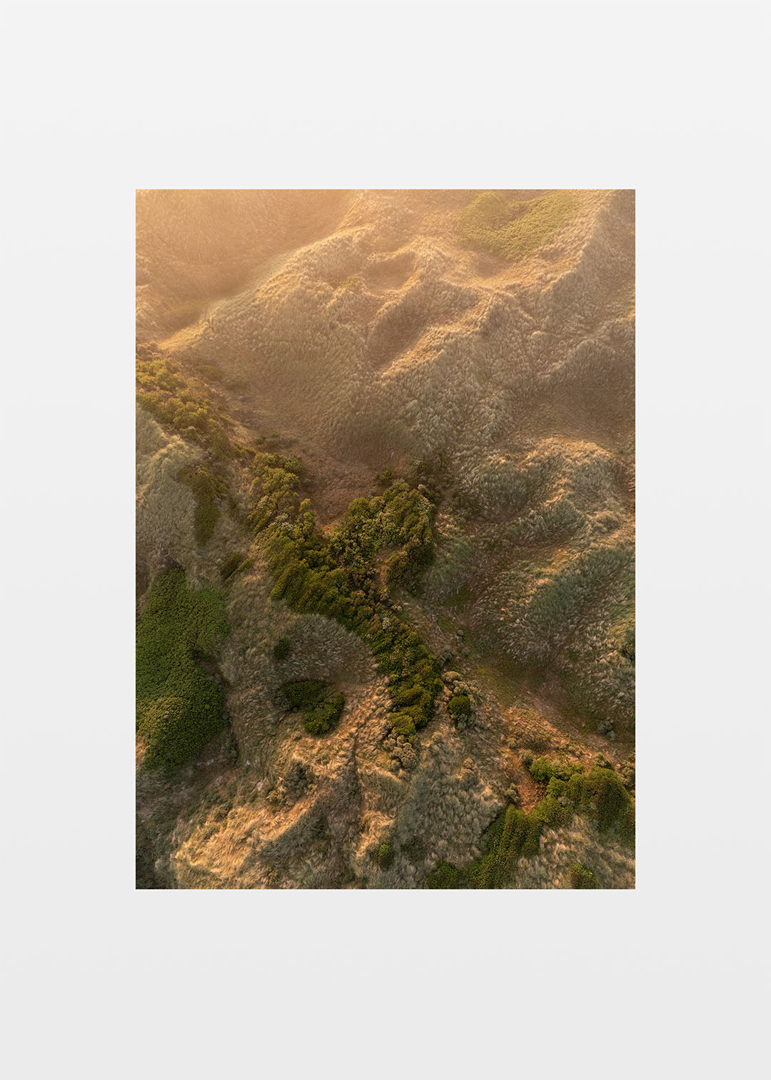 Blokhus klitlandskab plakat