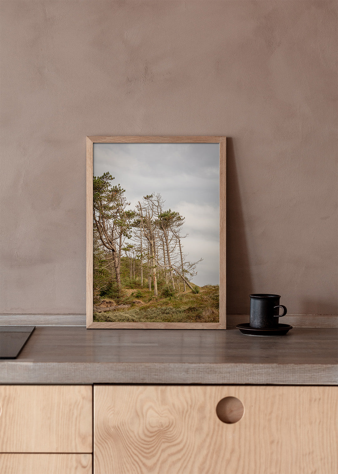 Klitplantage plakat