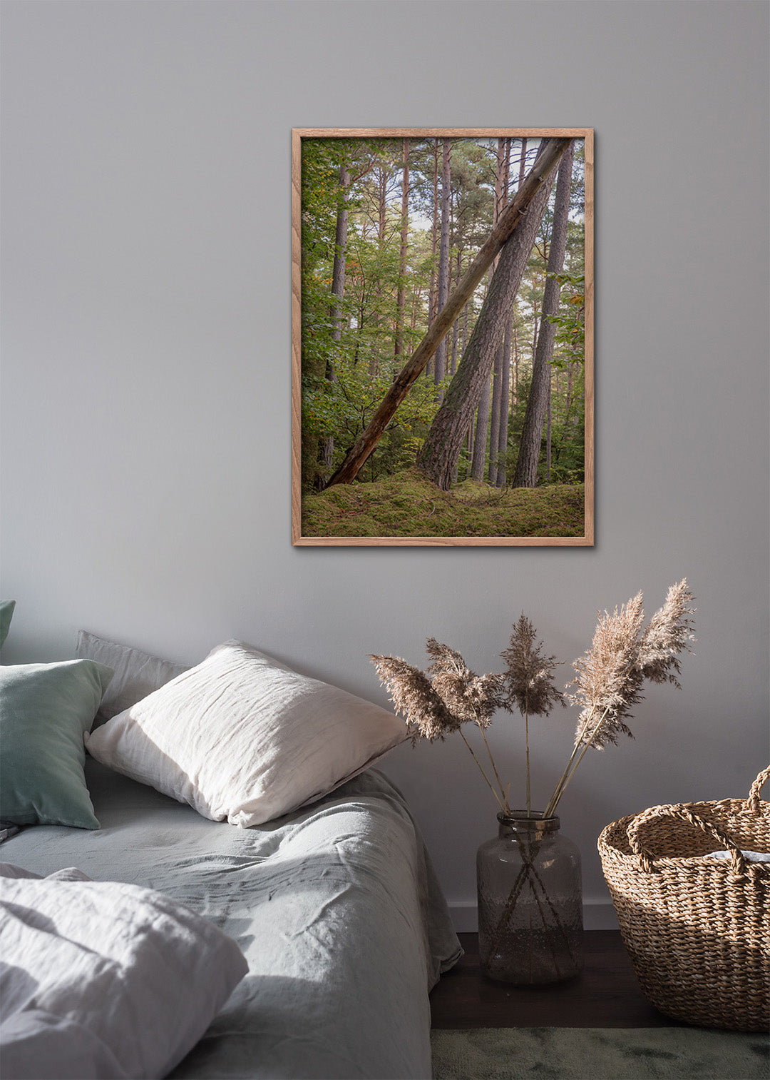 Tisvilde Hegn plakat – Mosdækket skovbund (lodret) | Foto Factory