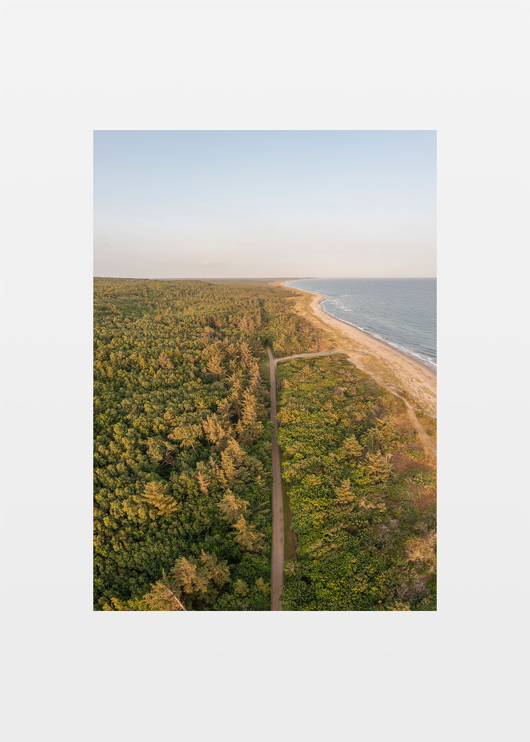 Tisvilde kyst og skov plakat