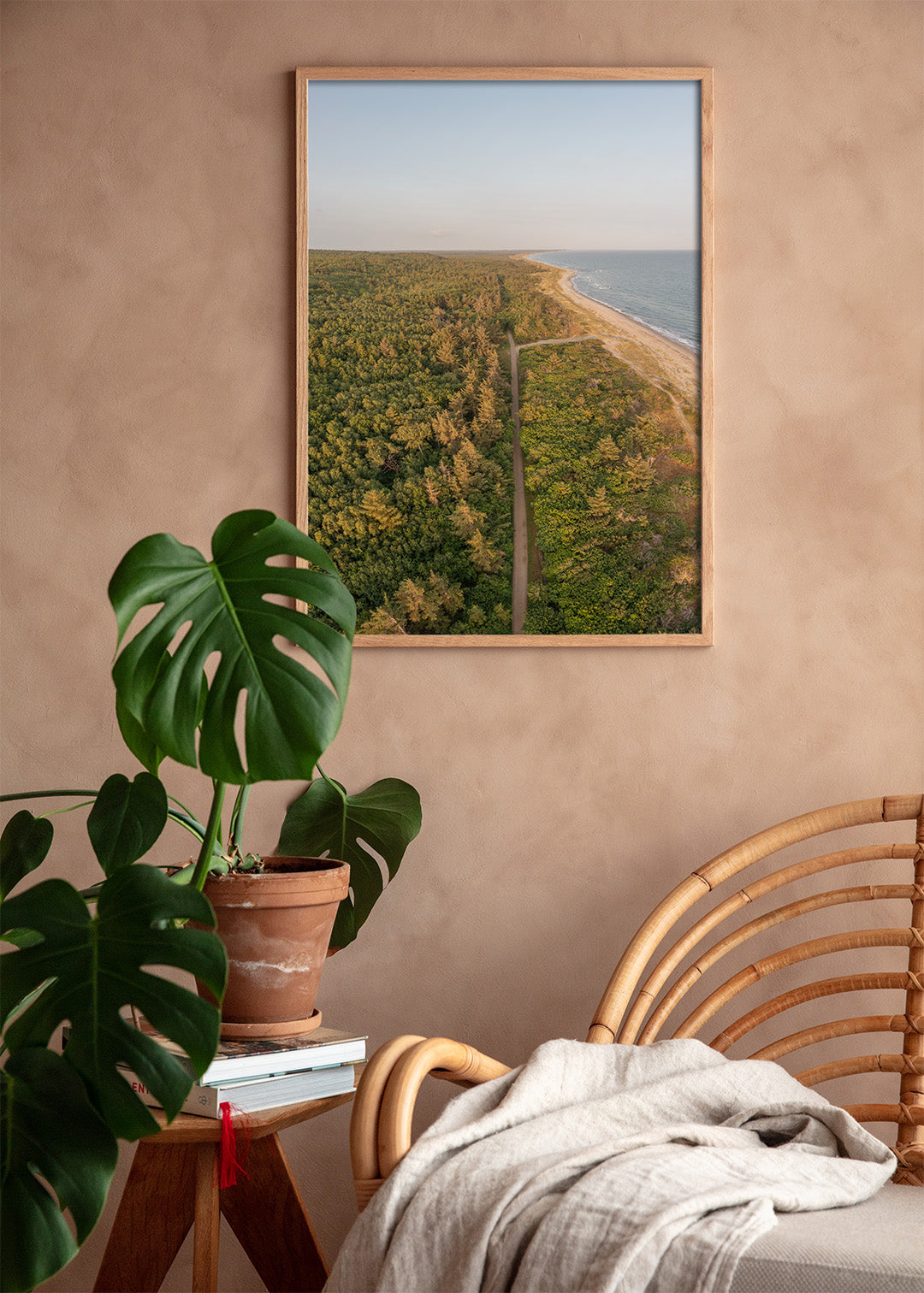 Tisvilde kyst og skov plakat