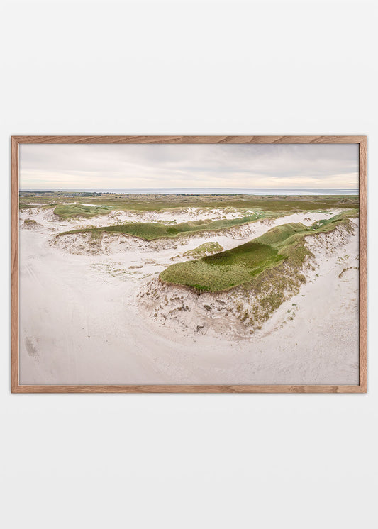 Plakat med naturfotografi af grønt klitlandskab ved Hvide Sande på den jyske vestkyst