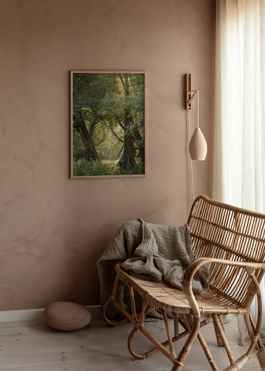Originalt skovfotografi med grønne nuancer.